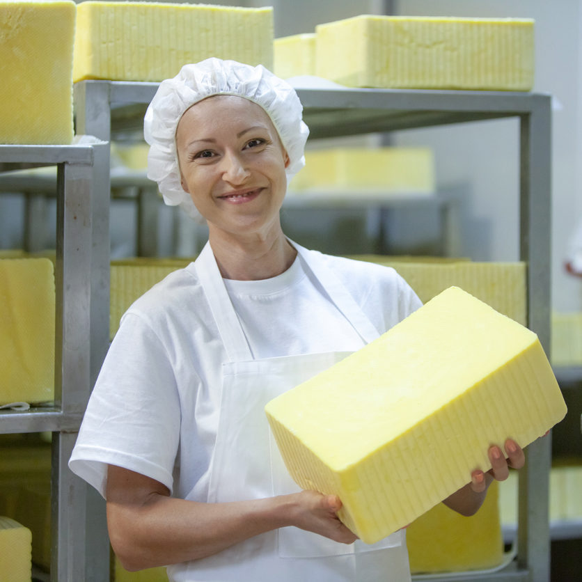 Female worker on yellow cheese production line in an industrial factory